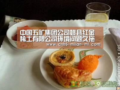 中国五矿集团公司赣县红金稀土有限公司环境