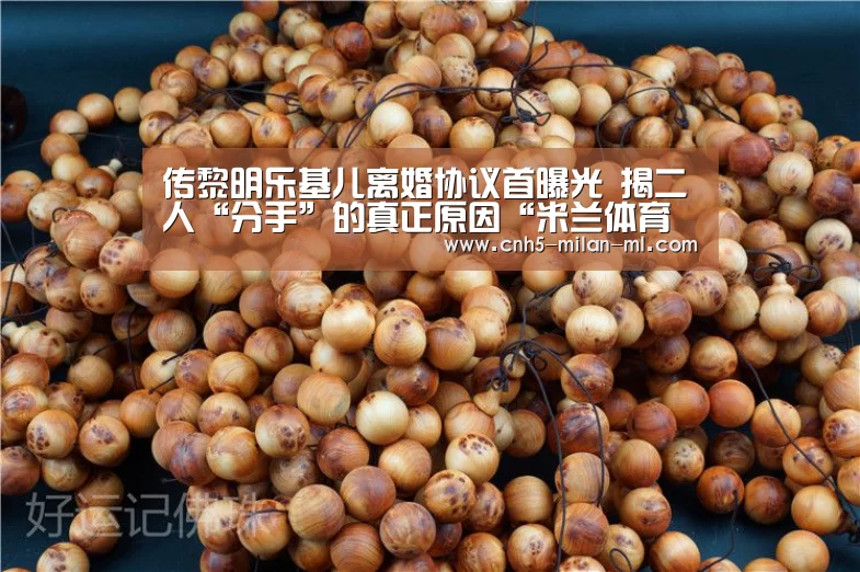 传黎明乐基儿离婚协议首曝光 揭二人“分手