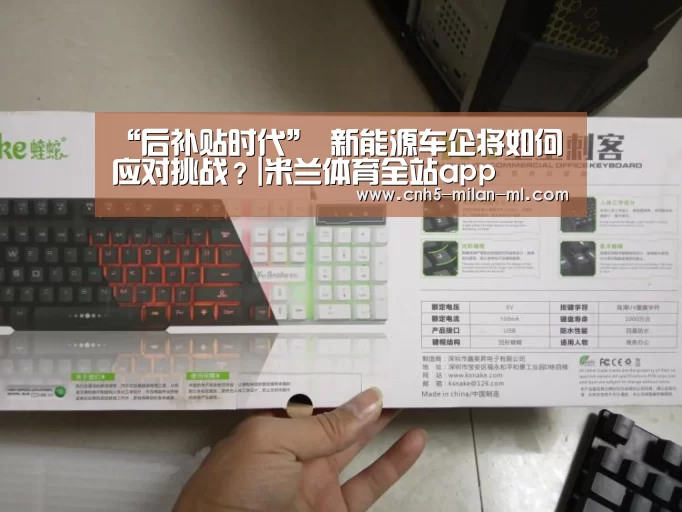 “后补贴时代” 新能源车企将如何应对挑战