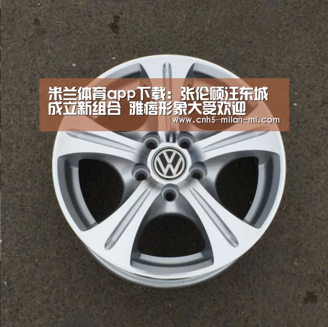米兰体育app下载：张伦硕汪东城成立新组