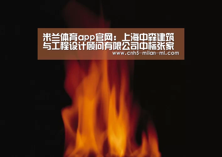 米兰体育app官网：上海中森建筑与工程设